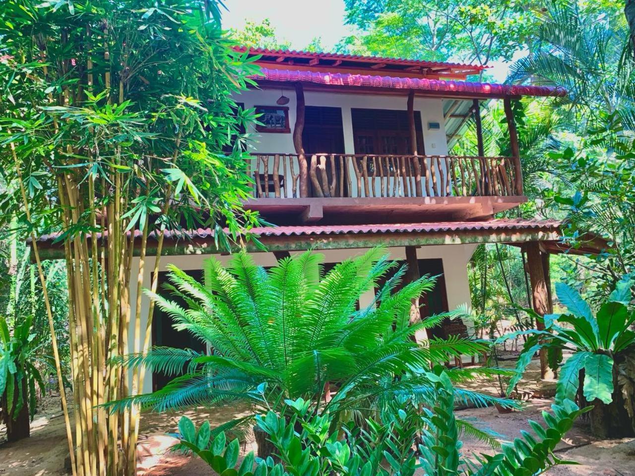 Hotel Walawa Blue Sapphire Udawalawe Exterior foto